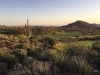 Arizona | Desert Mountain