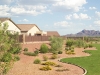 Arizona | Gladden Farms