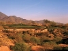 Arizona | Grayhawk