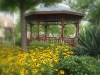 Texas | Hackberry Creek